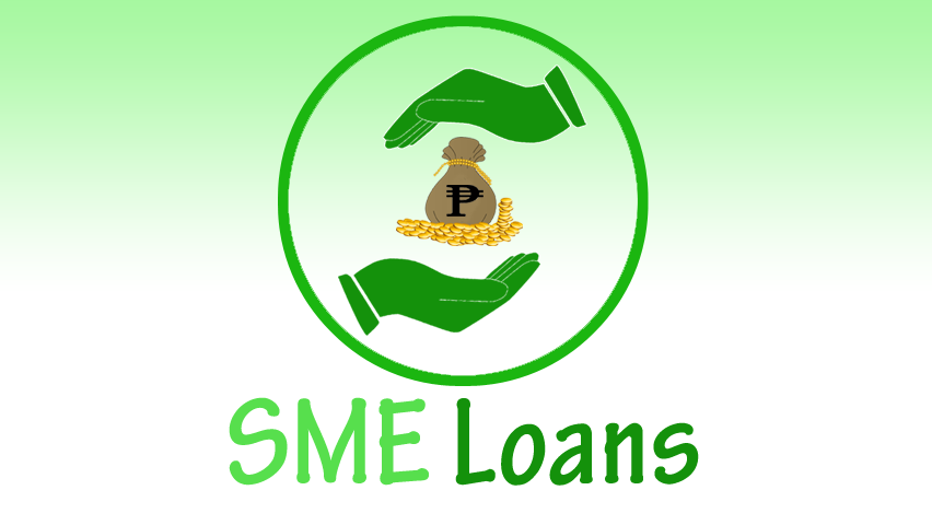 Read more about the article SME Loans